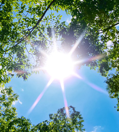 代表取締役　寺本 将典